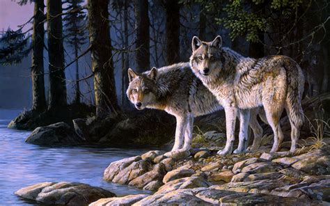 Free shipping for many items! Wolf Wallpaper HD free download | PixelsTalk.Net