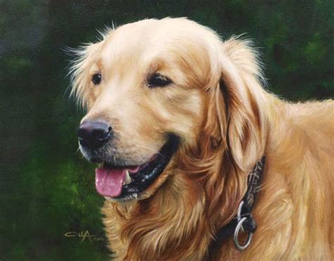Painting Golden Retrievers At Explore Collection