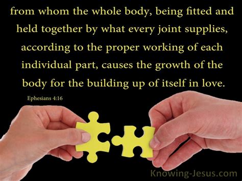 Ephesians 416 The Body Fitted And Held Together Yellow