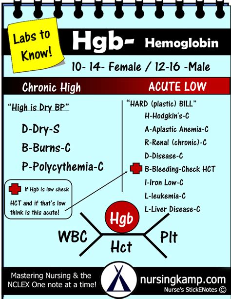 Hemoglobin Cbc Nursing School Pinterest Labs Nclex And Medical