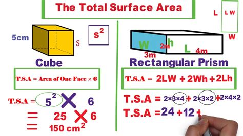 Total Surface Area Youtube