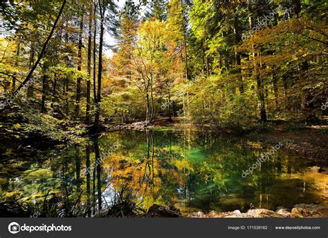 Beautiful Ponds In The Woods