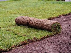 Laying sod is a major investment for your lawn. When Is The Best Time To Lay Sod in Atlanta - A&N Sod ...