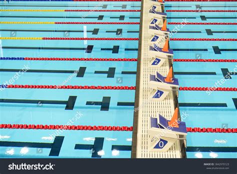 50metre Swimming Pool Competition Lane Which Stock Photo 1842970123