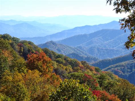 Mai Thai Wanderings Fall Foliage At The Great Smoky Mountains National
