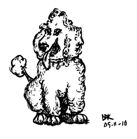 Poodle Line Drawing At Getdrawings Free Download