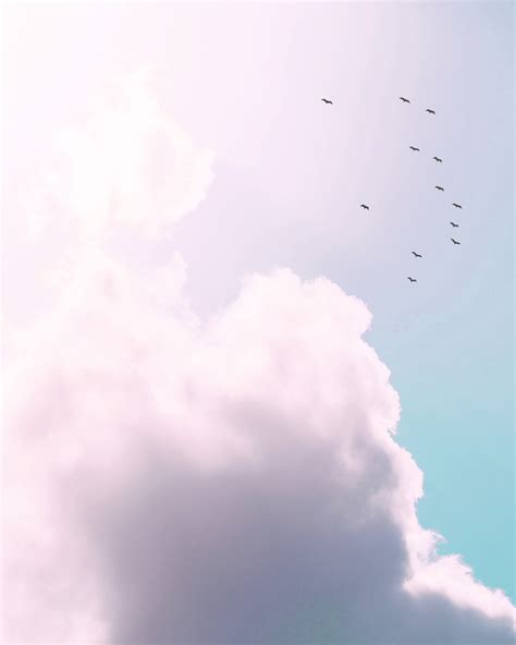 Pastel Cloudy Sky And Birds Wallpaper Happywall