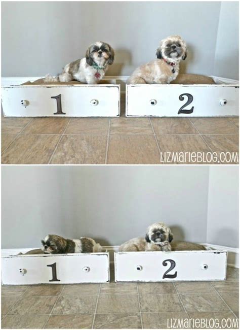 20 Easy Diy Dog Beds And Crates That Let You Pamper Your Pup Diy Dog