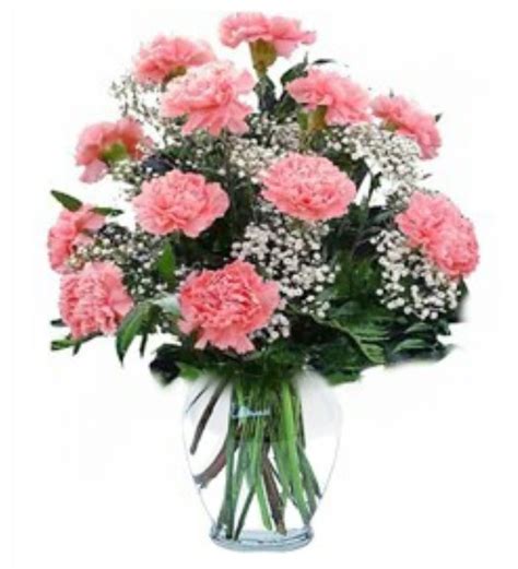 Dozen Carnations In Carrollton Ky Blooms Floral Studio