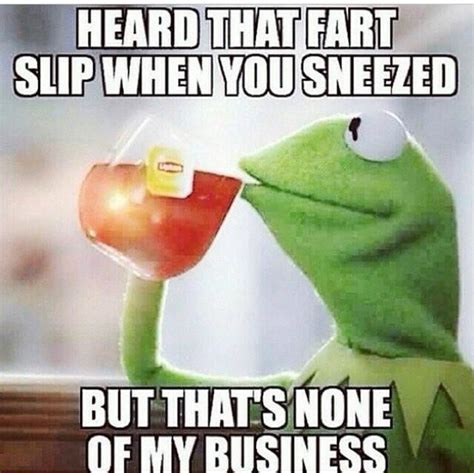 Kermit The Frog Quotes Funny Shortquotescc