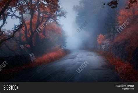 Mystical Autumn Forest Image And Photo Free Trial Bigstock