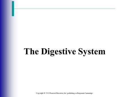 Chapter 17: The Digestive System - ppt download