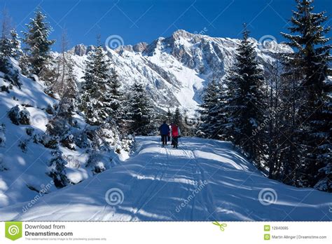 Walking In Beautiful Winter Scene Stock Image Image Of