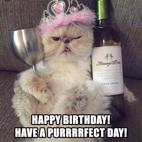 Cat Birthday Memes Funny Happy Birthday Images Happy Birthday Wishes