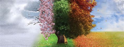 Ab concept focuses more on singularity with yun house. Vivaldi's The Four Seasons - Pittsburgh | Official Ticket ...