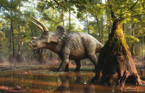 Top 10 Ceratopsians Paleontology World
