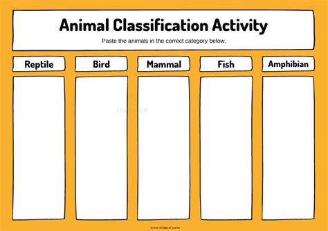Animal Classification Sorting Worksheet Kidpid