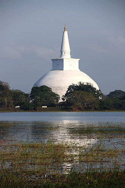 Basawakkulama Lake Anuradhapura Sri Lanka Sri Lanka Photography
