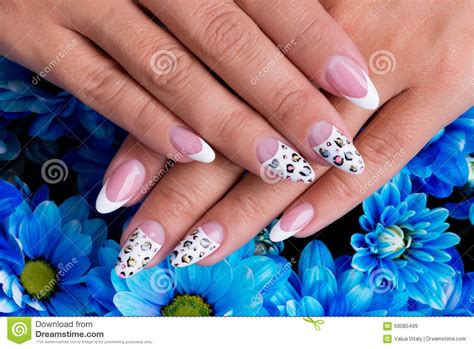 Beautiful Woman S Nails With French Manicure Stock Image Image Of