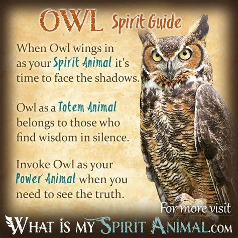 Owl Symbolism & Meaning | Spirit, Totem, & Power Animal