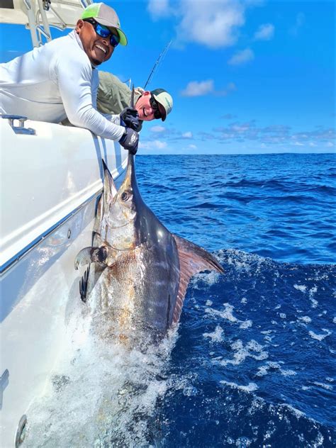 How To Catch Marlin On Your Next Expedition Fish Panama Today