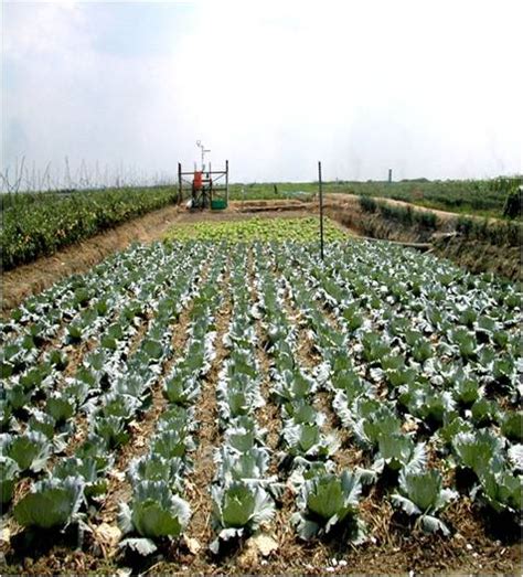 Jenis permohonan penggantian mykad yang boleh dimohon secara dalam talian termasuklah gantian. Ladang Yang Tidak Diusahakan Di Malaysia
