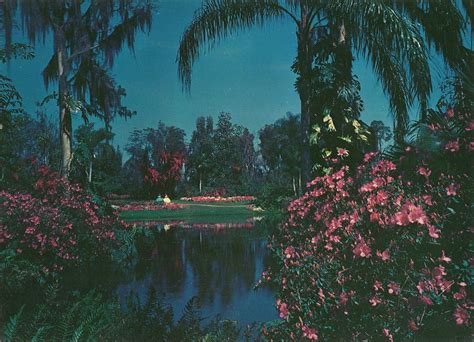Vintage Travel Postcards Cypress Gardens