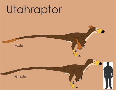 Utahraptor Size Comparison By Loujunior On Deviantart