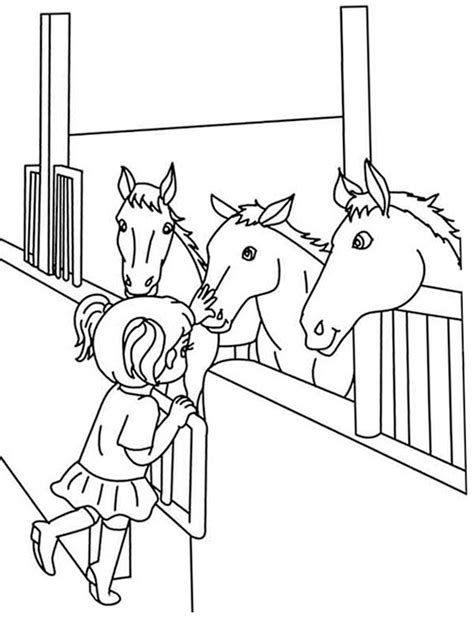 Paarden op kinderfilmpjes