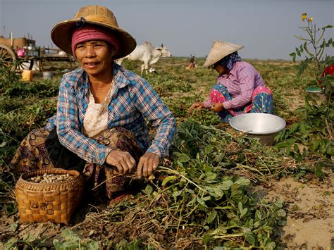 Almost Half Of Myanmar Risks Falling Into Poverty By 2022 Undp