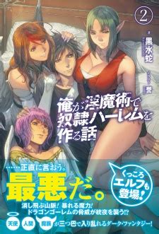 Ore Ga Inmajutsu De Dorei Harem Wo Tsukuru Hanashi Light Novel Pictures MyAnimeList Net