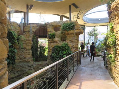 Hummingbird Habitat Interior Zoochat