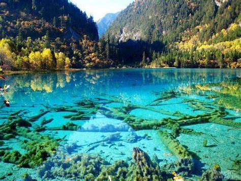 Lac Avec Eau Cristalline Turquoise Parc National Jiuzhaigou Chine