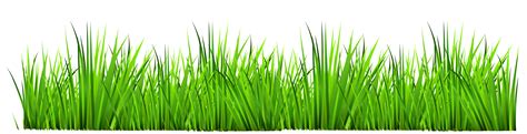 Grass Png Clipart