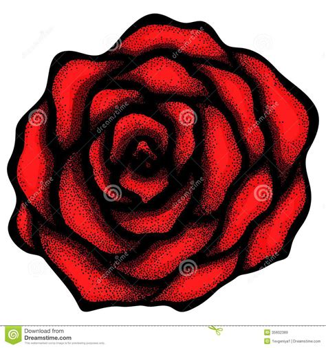 Maybe you would like to learn more about one of these? Abstract Rose Free-hand Drawing In A Graphic Style Royalty ...