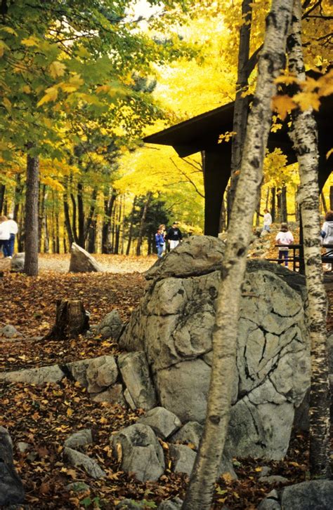 Fall Foliage At These 9 Wisconsin State Parks Is Beautiful