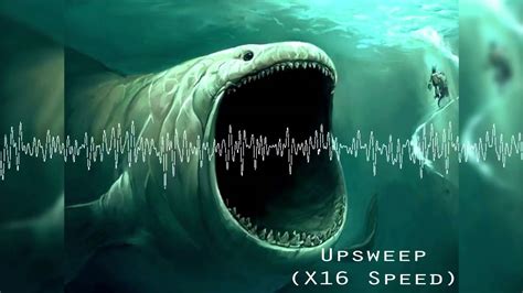 Most Mysterious Underwater Sounds Ever Recorded Youtube