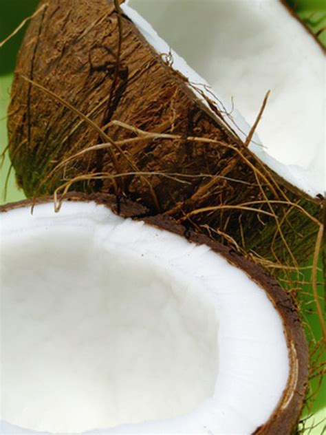 If you have a long or angular face, choppy. The Difference Between Palm Trees & Coconut Trees | Hunker