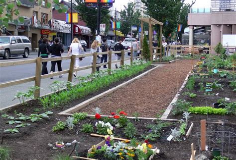 A First Timers Guide To Getting A Community Garden Plot As Demand For