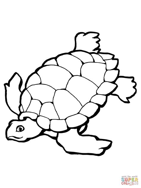Swimming Sea Turtle Coloring Page Free Printable Coloring Pages