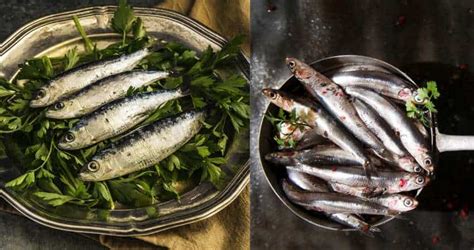 Anchovies Vs Sardines Whats The Difference Lets Compare