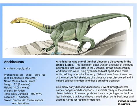 Anchisaurus Dinosaur Earth