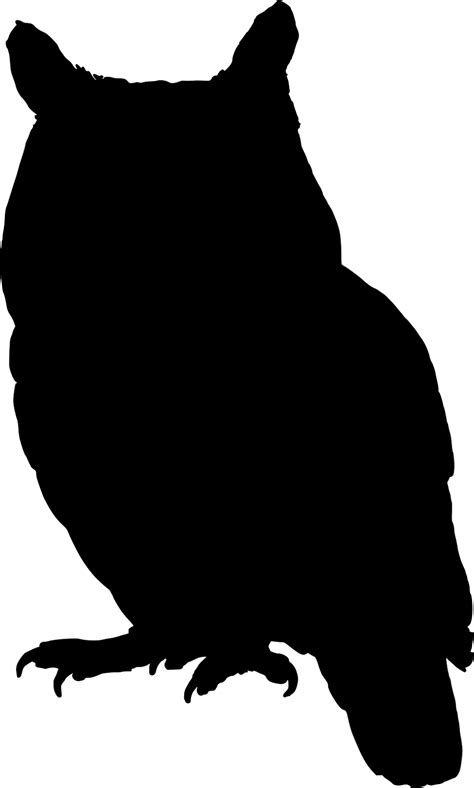 Owl Silhouette Template Clipart Best
