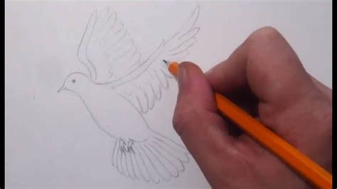 We collected 39+ pentecost drawing paintings in our online museum of paintings. How To Draw a Dove - YouTube