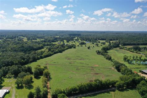 Alabama Cattle Farm For Sale 5 Listings Mossy Oak Properties