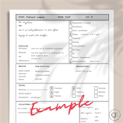 Psychiatric Hpi Template