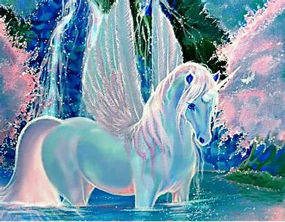 Unicorn Desktop Wallpapers Pegasus Rainbow Unicorns Screensaver