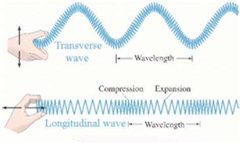 Another example of waves with both longitudinal and transverse motion may be found in solids as rayleigh surface waves (named after john w. 6 Illustration of a transverse wave and a longitudinal ...