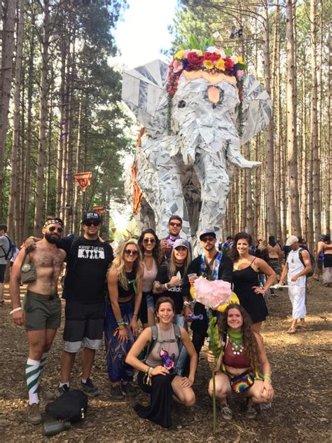 Electric Forest Weekend 1 Review God Bless The Forest Hedonist