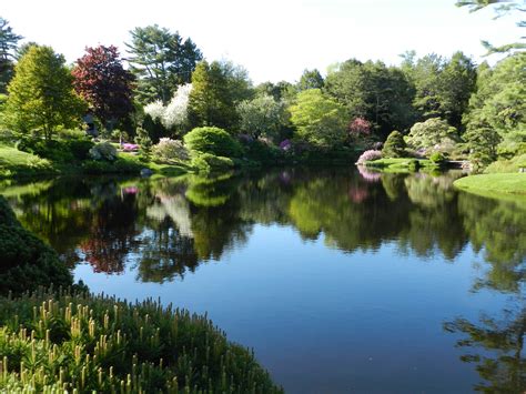 Asticou Azalea Garden Northeast Harbor Me Azaleas Garden Azaleas